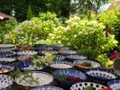 Decoratieve kommen van Pools aardewerk servies