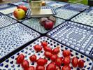 Сервировочные блюда из польской керамики